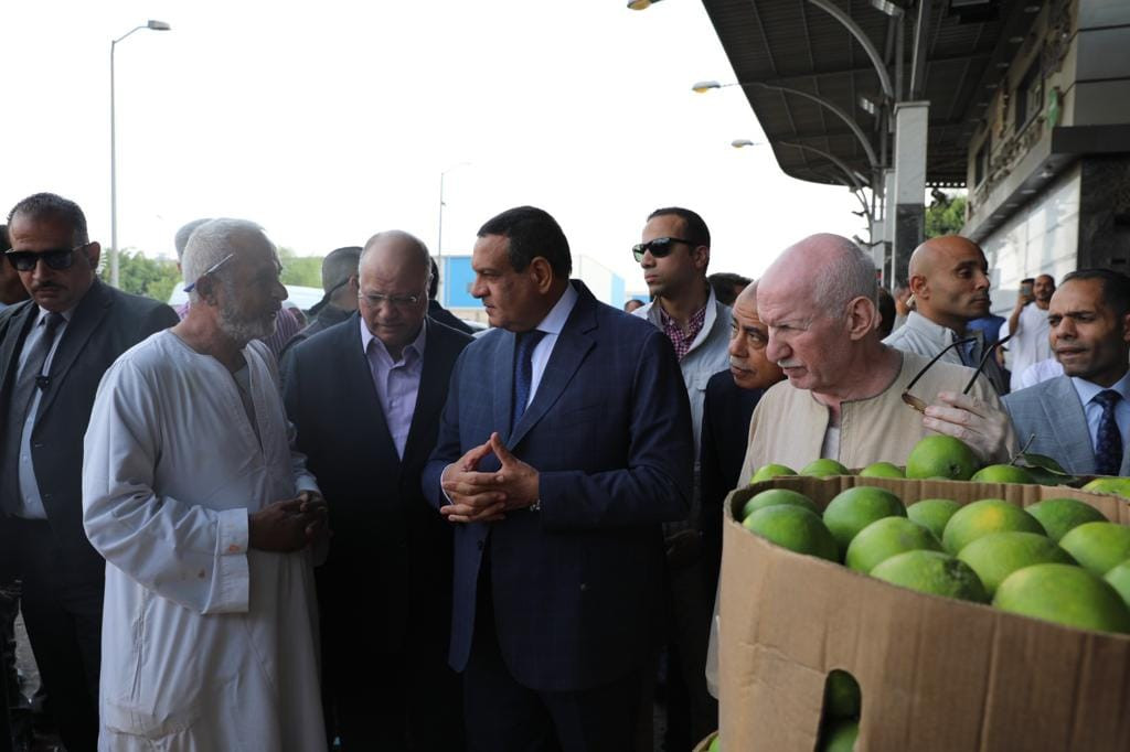 التنمية المحلية