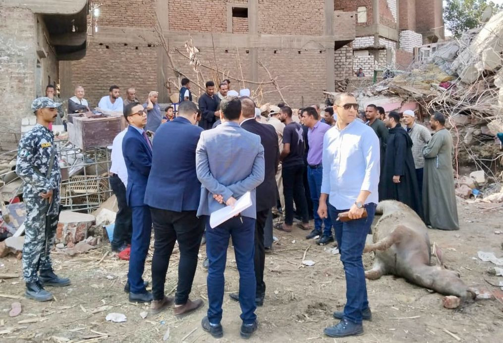 النيابة الادارية