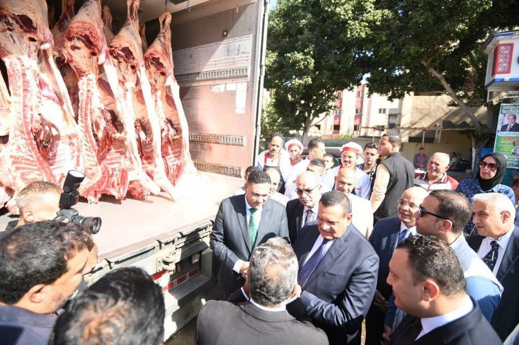 التنمية المحلية