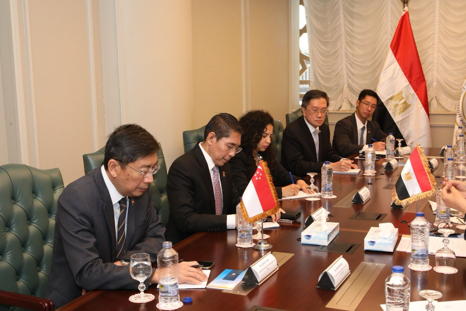 مصر وسنغافورة