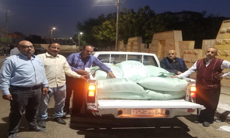 تموين المنيا