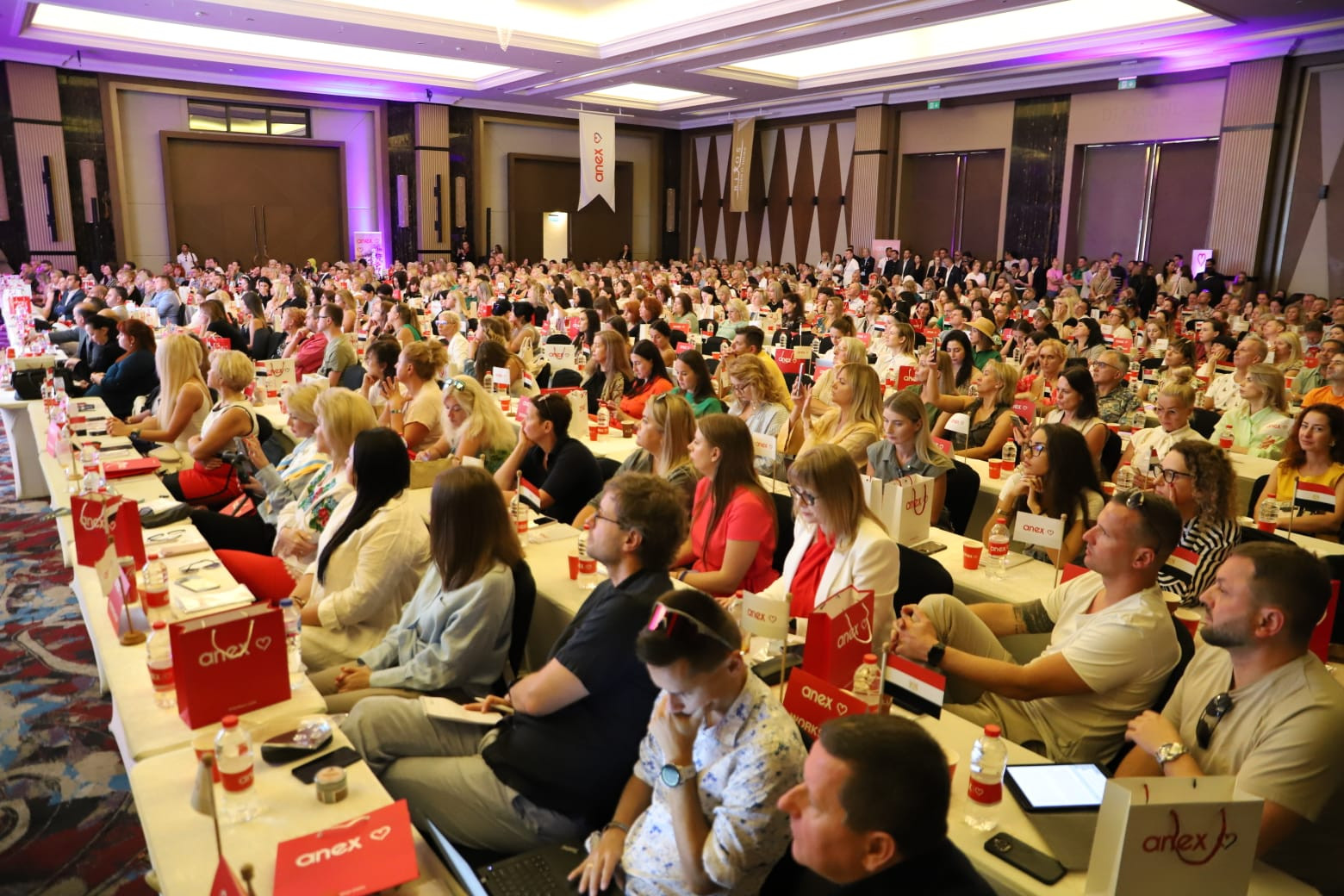 التنشيط السياحي