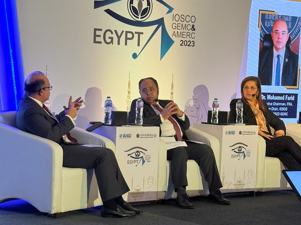 وزير المالية