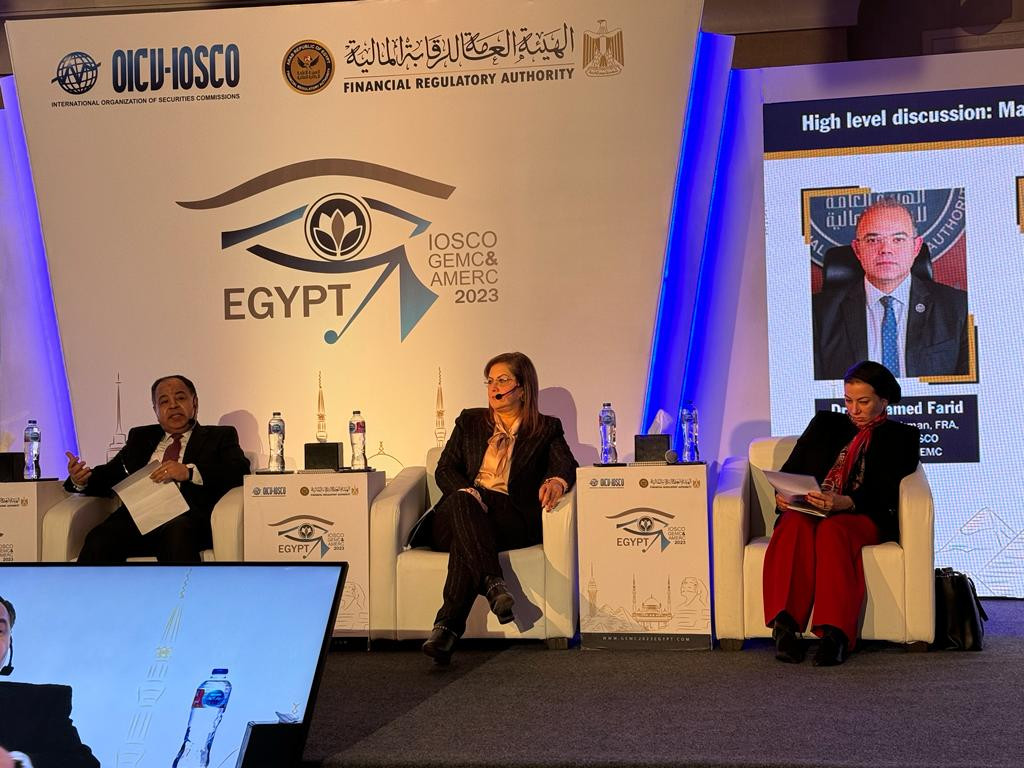 وزير المالية