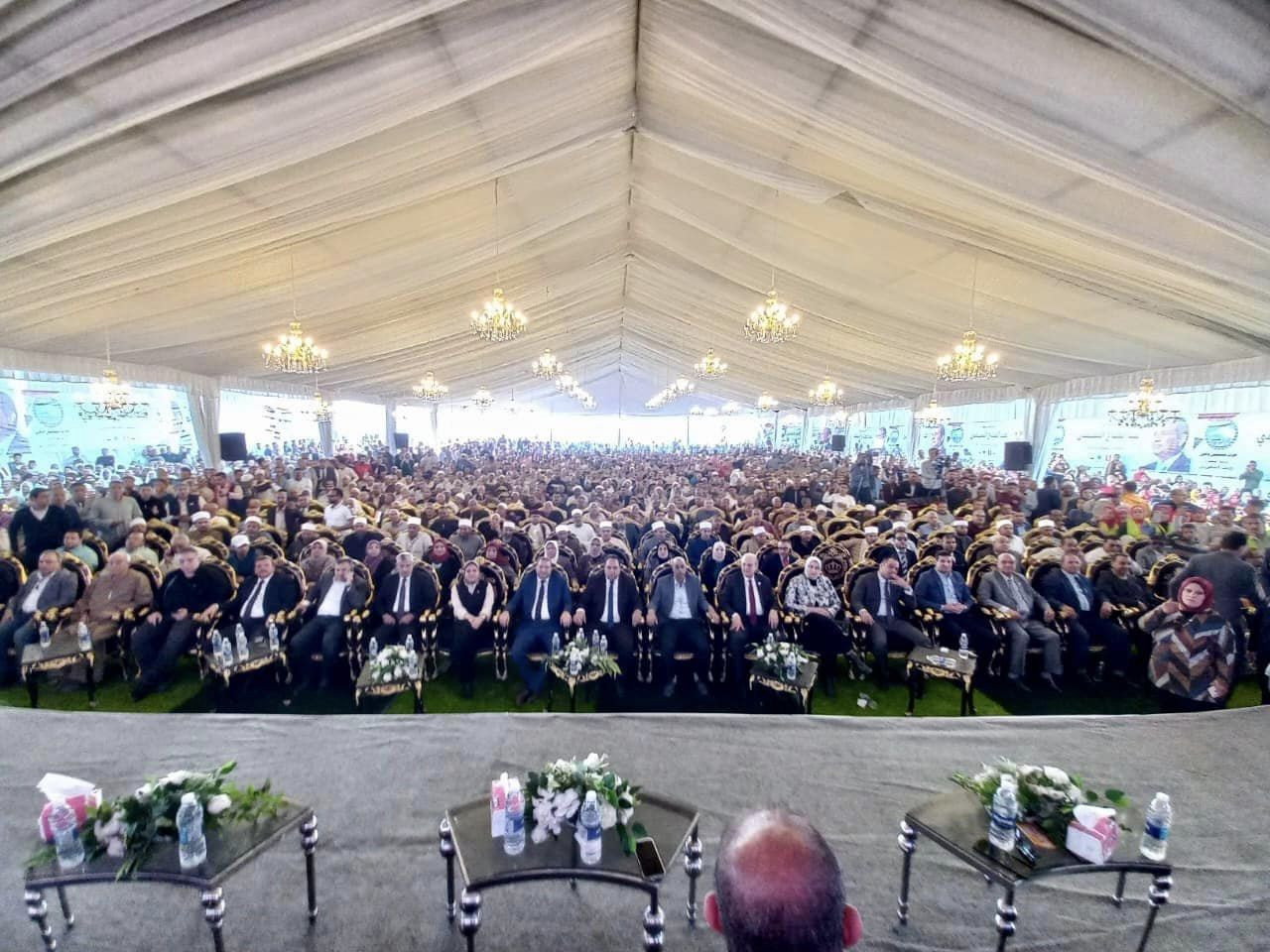 مستقبل وطن البحيرة