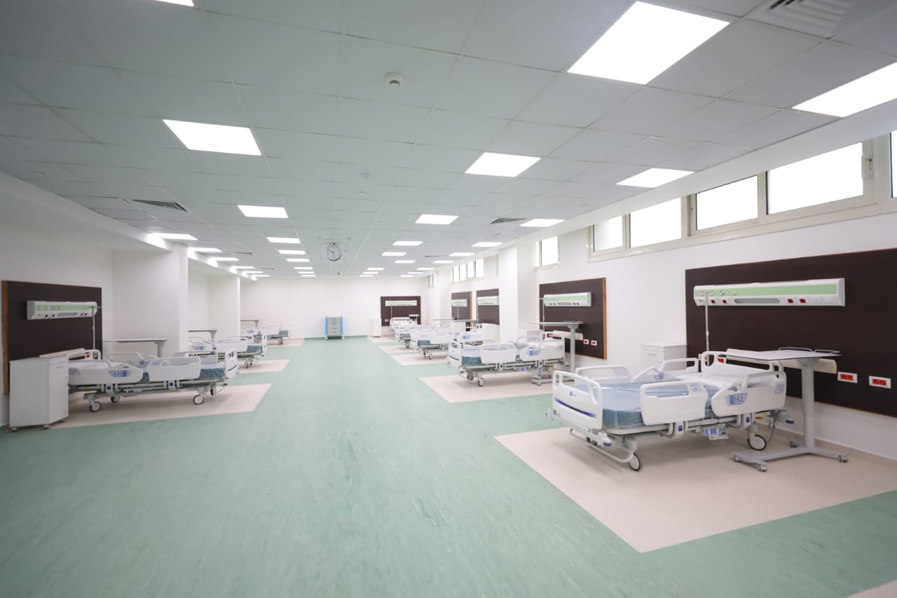 التعليم العالي