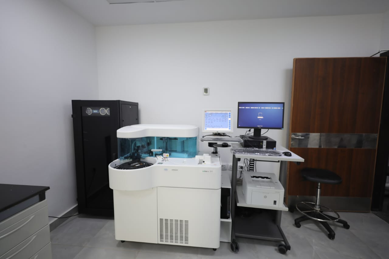 التعليم العالي