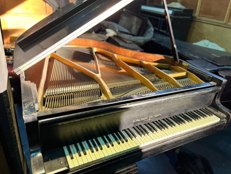 نجلة الموسيقار جمال