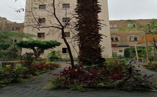 مركز مصر للمخلفات الصلبة