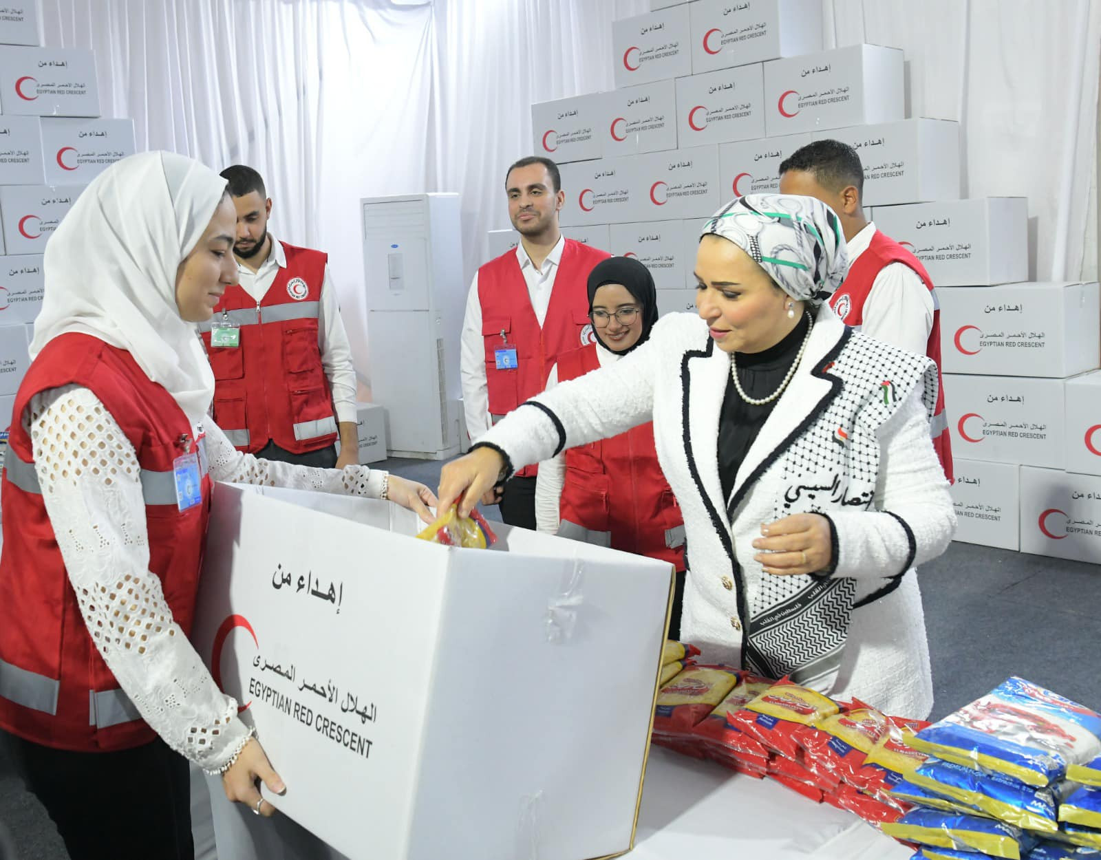 انتصار السيسي