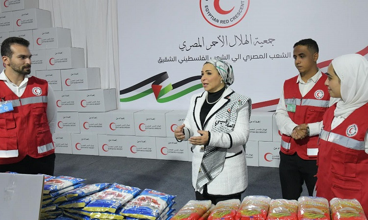 انتصار السيسي