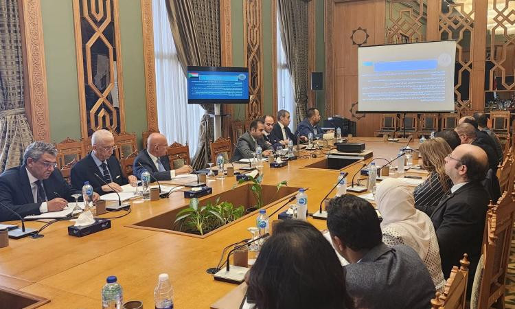 اللجنة المصرية الإفريقية