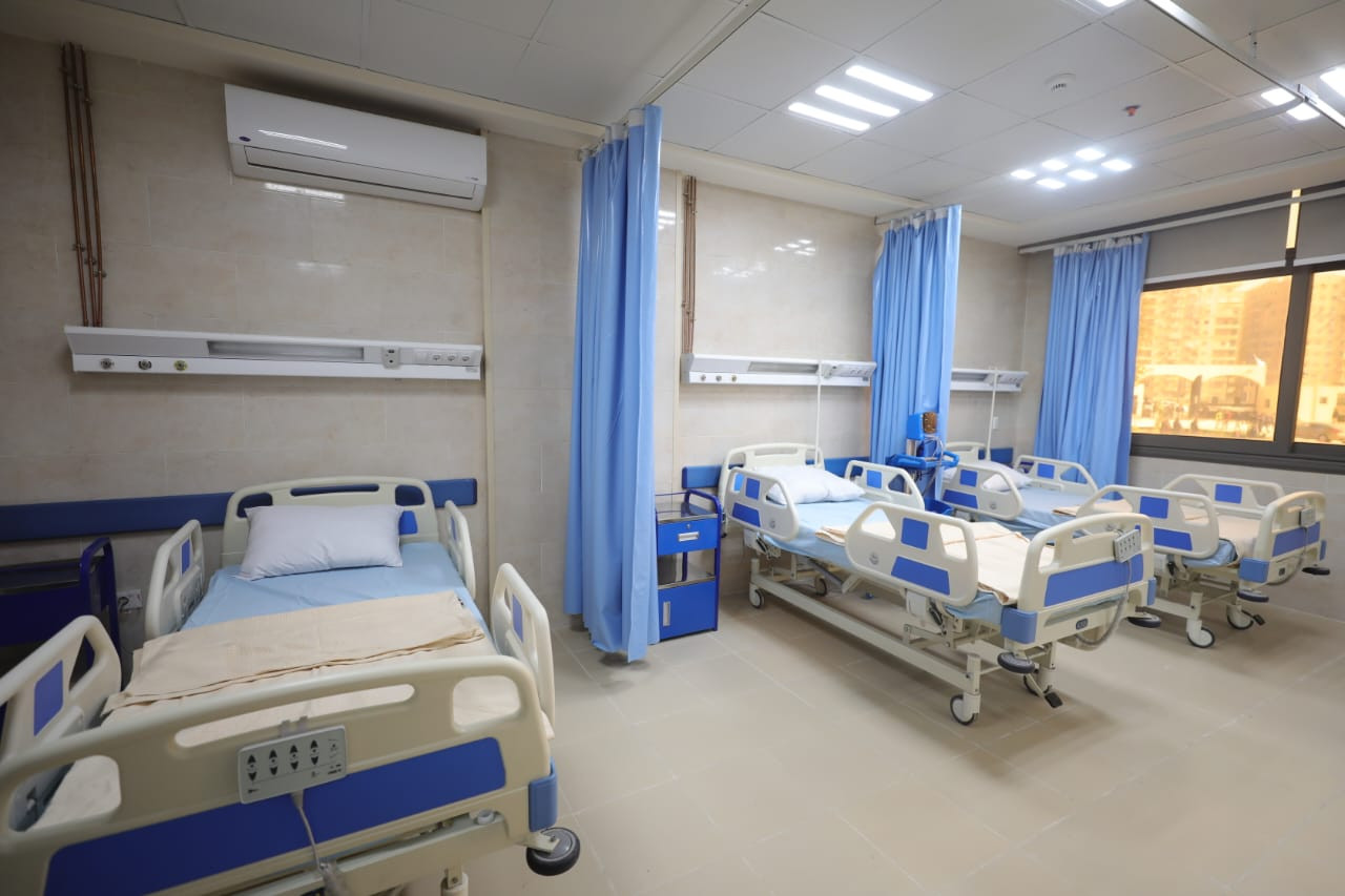 التعليم العالي