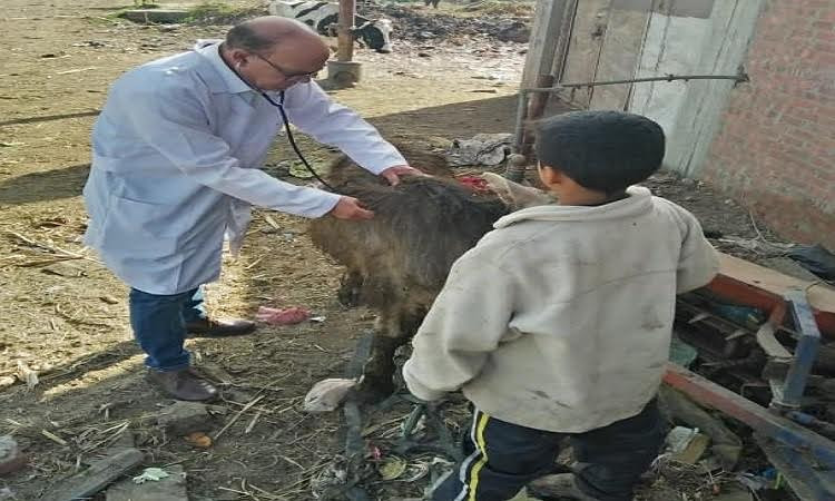 جامعة الزقازيق