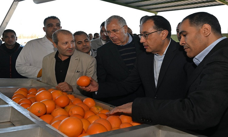 مدبولي