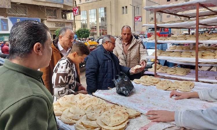 تموين المنيا