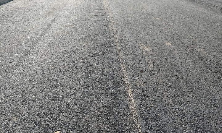 محافظ بورسعيد