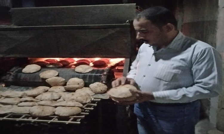 الدكتور محمود يوسف