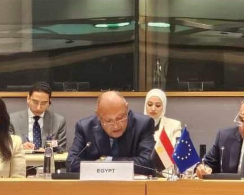 شكري وبوريل