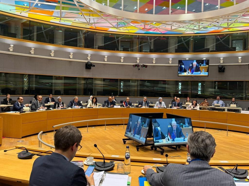 شكري وبوريل