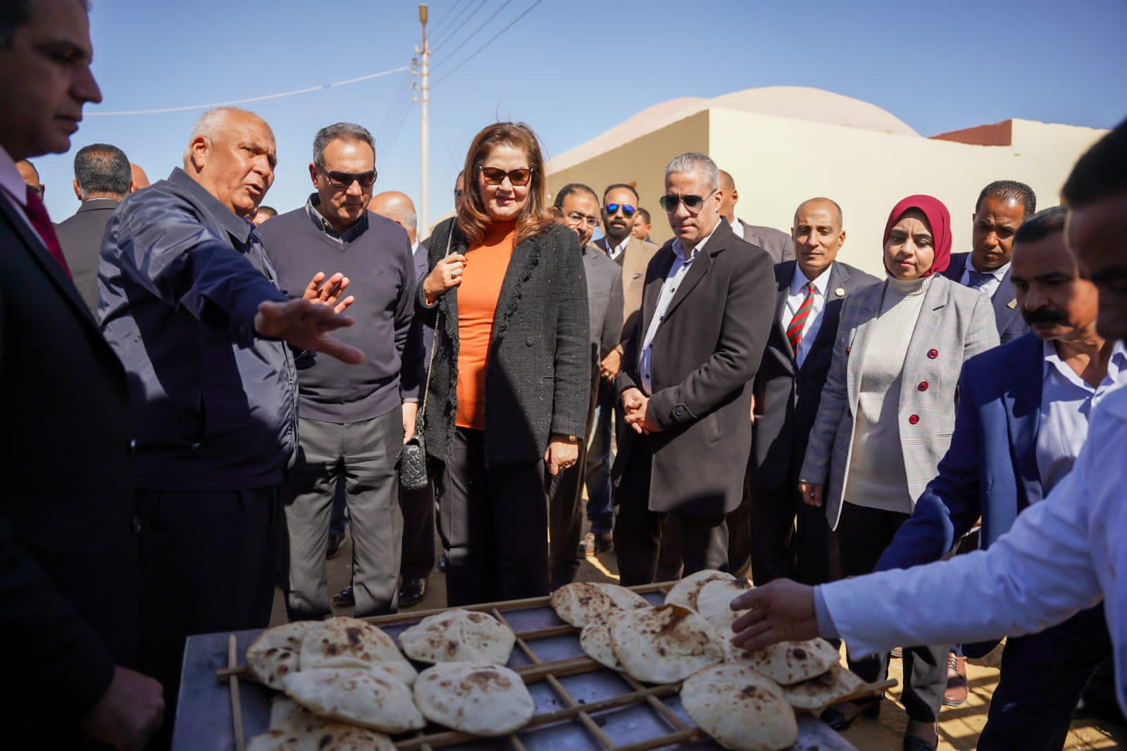 وزيرة التخطيط