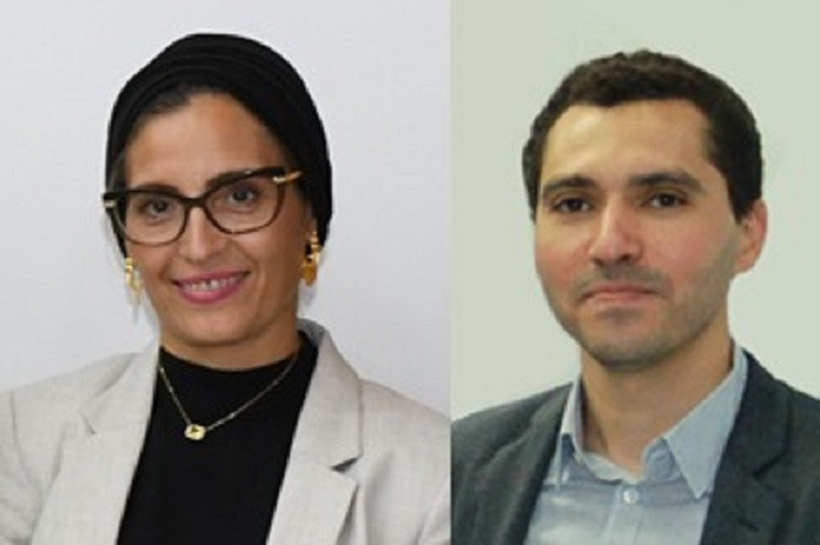 ميكرو روبوت