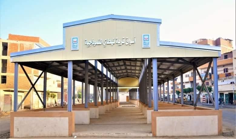 التنمية المحلية