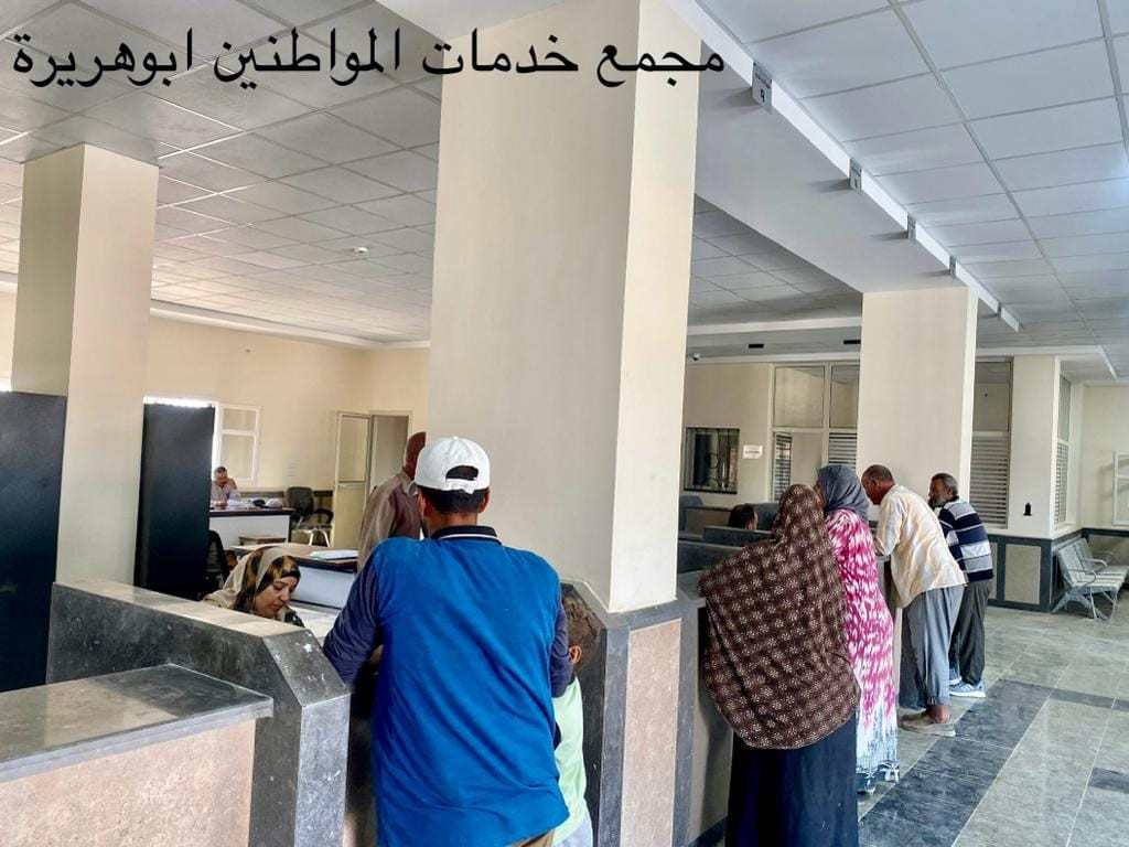 التنمية المحلية