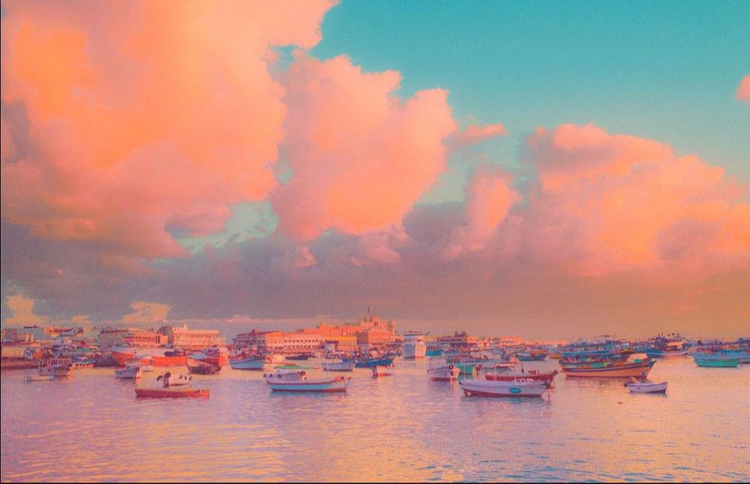 اسبوع الاسكندريه للتصوير