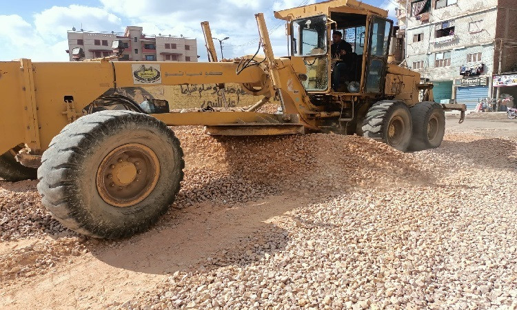فرد طبقة السن