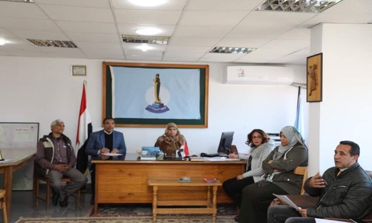 التضامن الاجتماعي