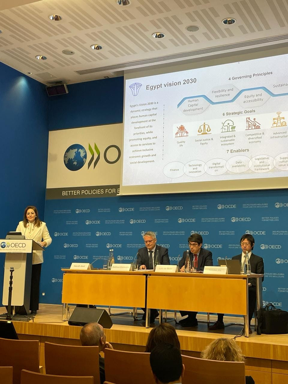 وزيرة التخطيط