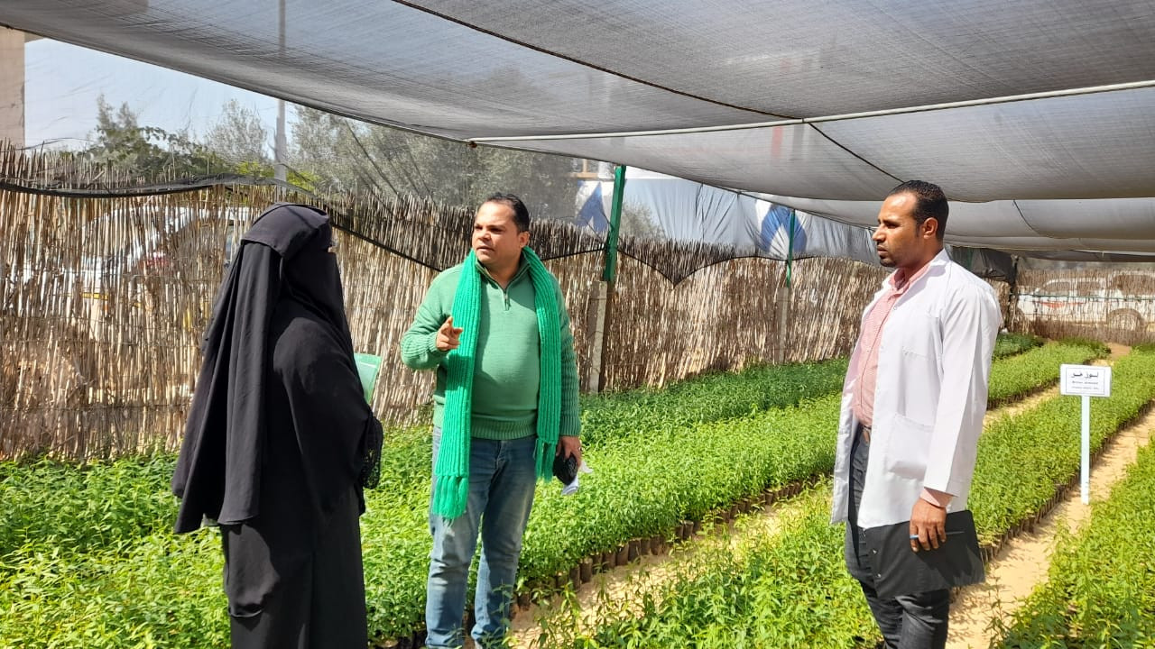 بحوث الصحراء