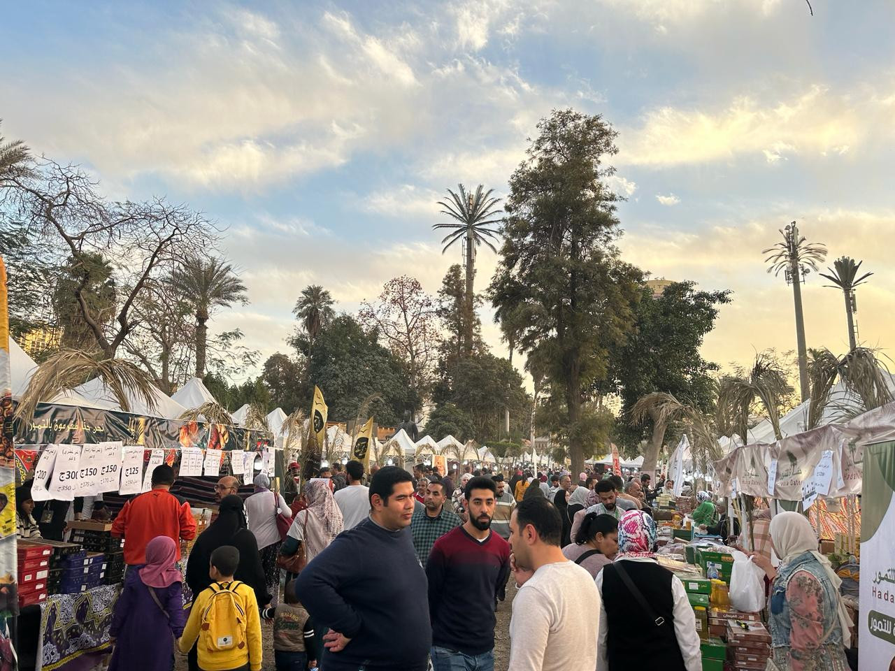 الزراعة