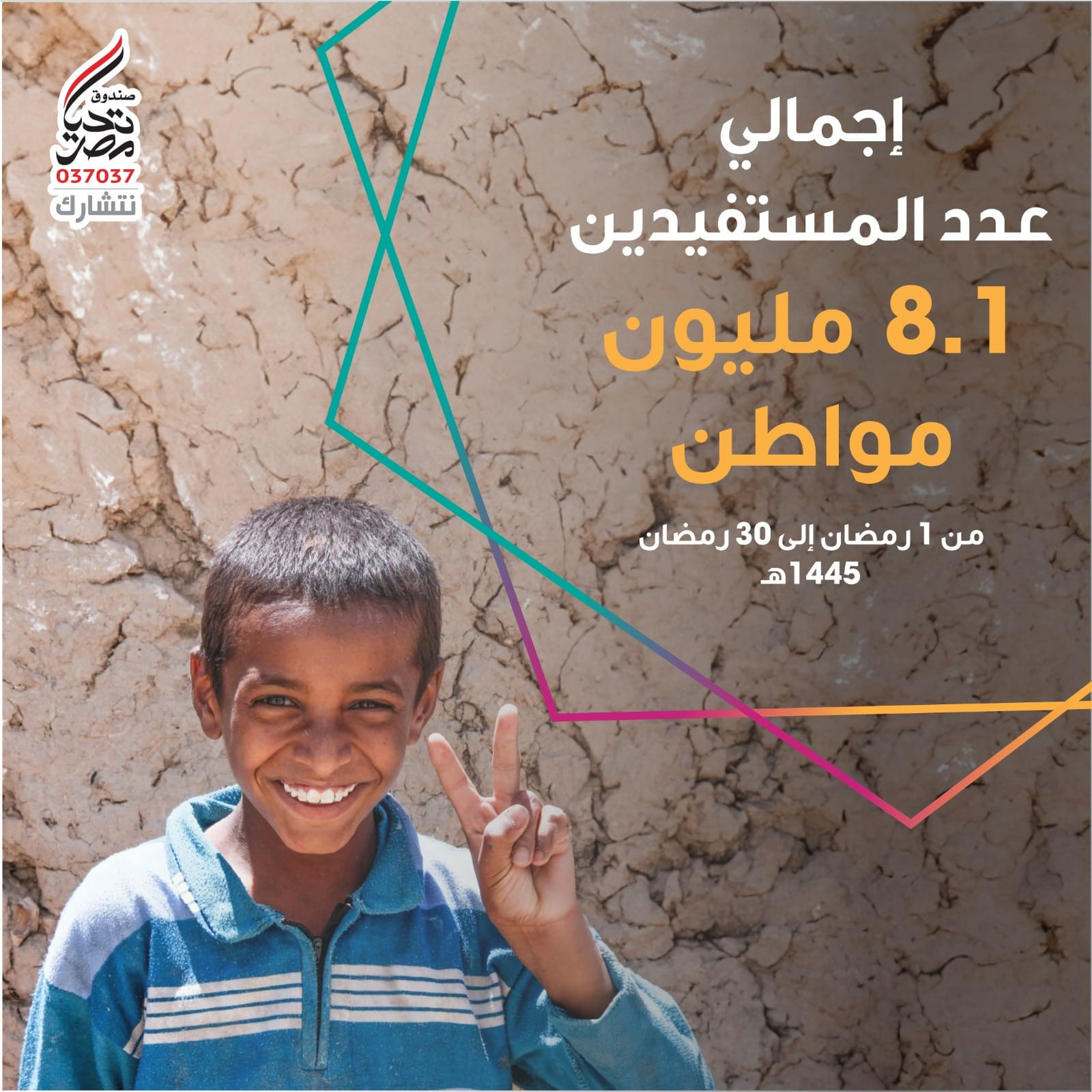 صندوق تحيا مصر