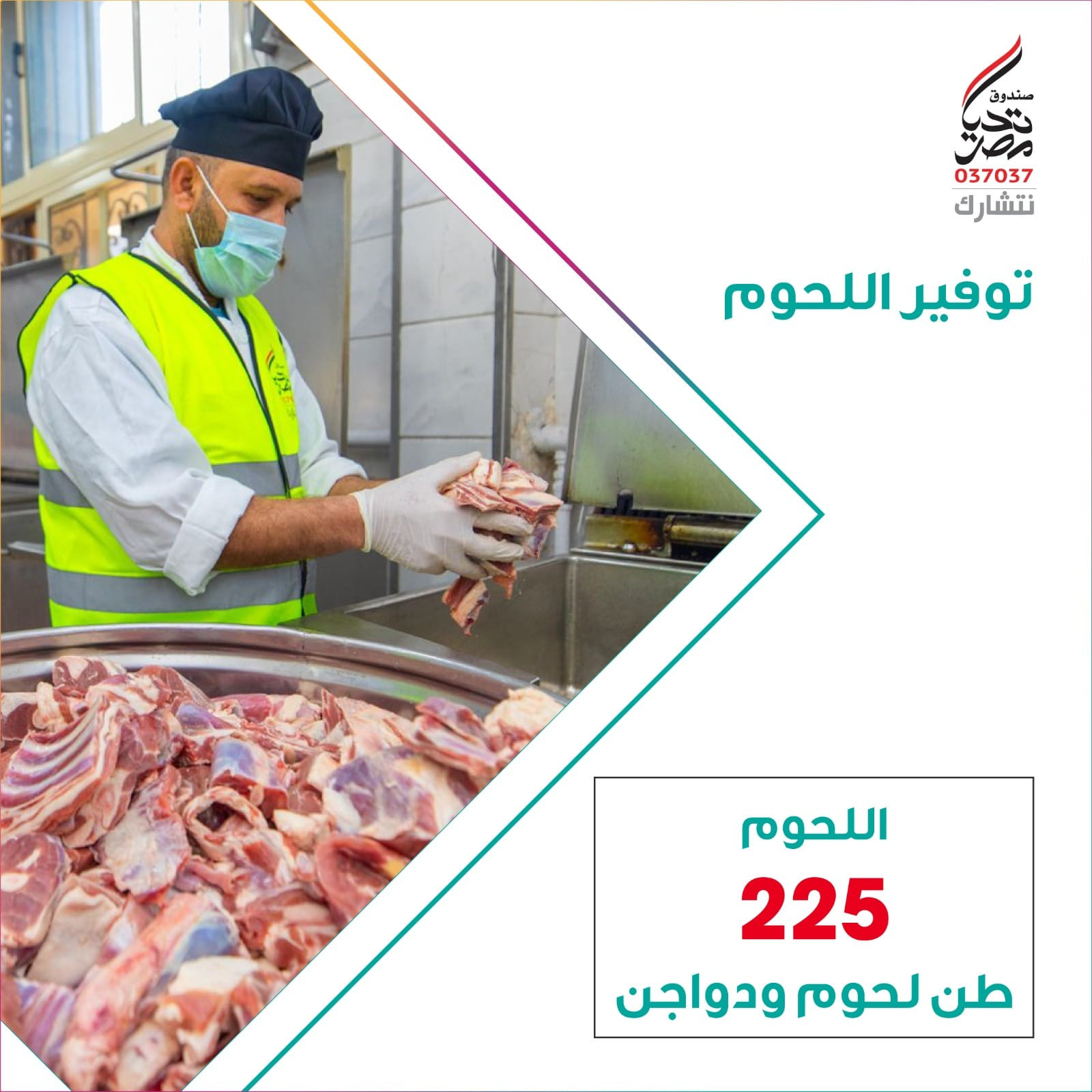 صندوق تحيا مصر