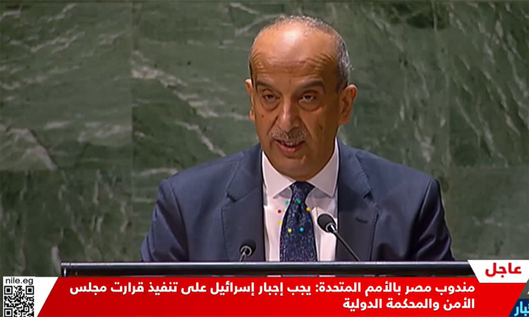 مندوب مصر بالامم المتحدة