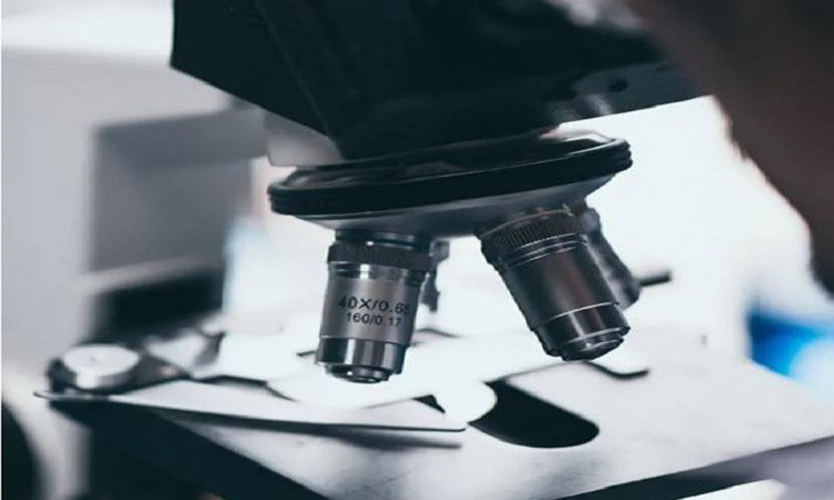 التكنولوجيا الحيوية