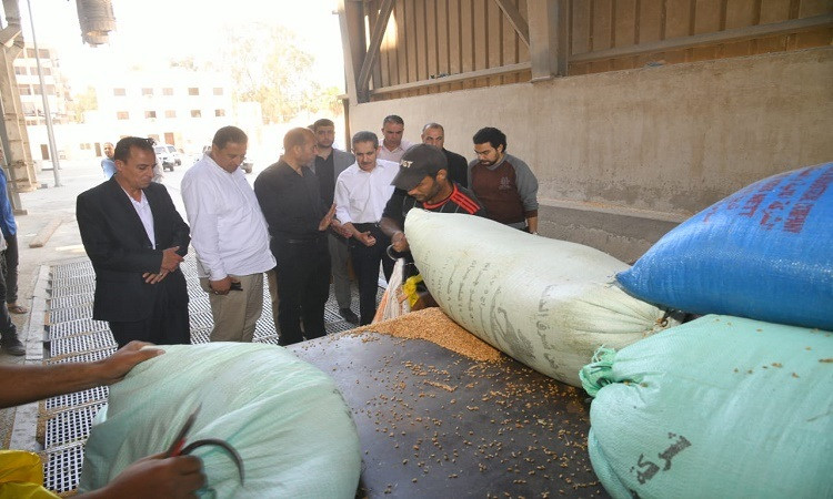 محافظ الغربية