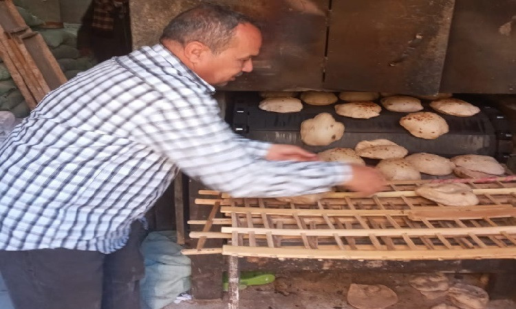 تموين المنيا