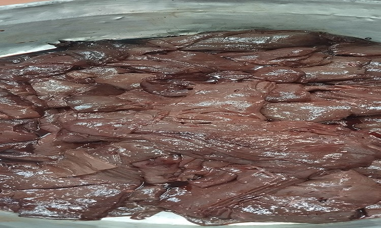 ضبط 22 طن لحوم وكبدة وأسماك ورنجة وفسيخ غير صالحة بالقاهرة&lrm;