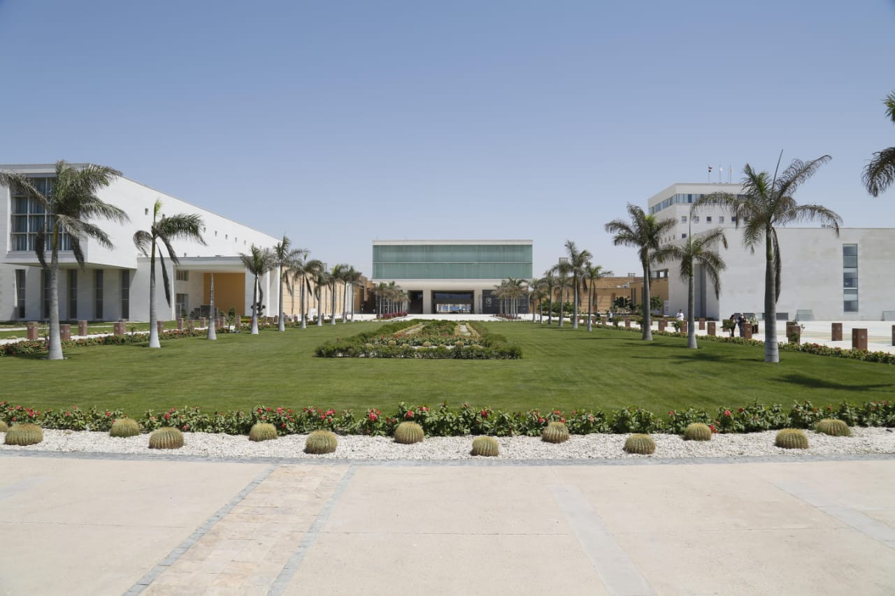 التعليم العالي