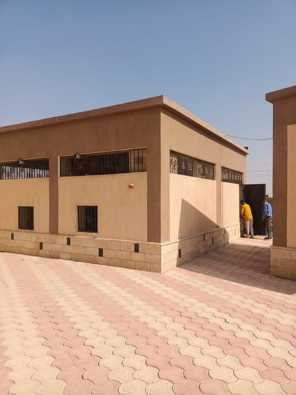 التنمية المحلية
