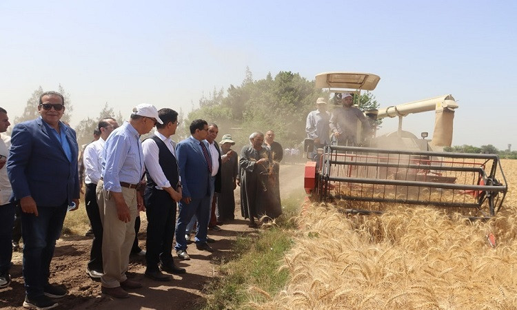 محافظ القليوبية