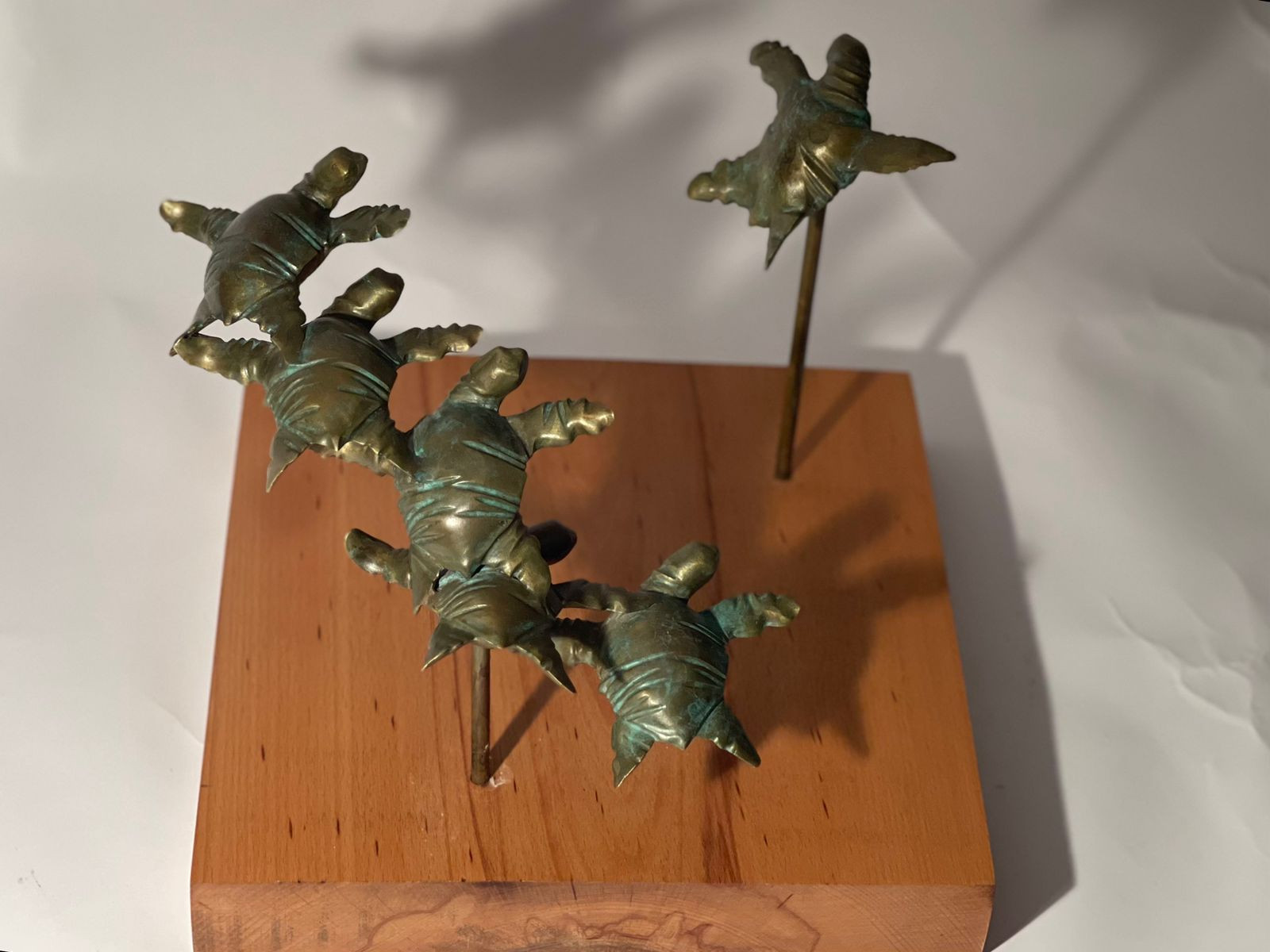 معرض فن تشكيلي