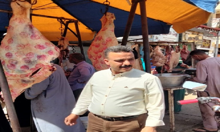 تحرير39محضرًا تموينيًا حلال حملات تفتيشية في المنيا