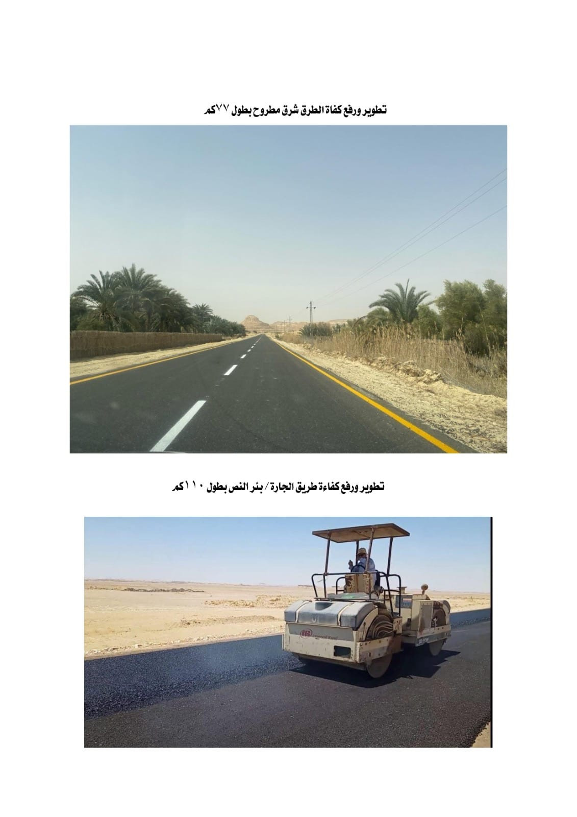 طريق سيوة/ مطروح