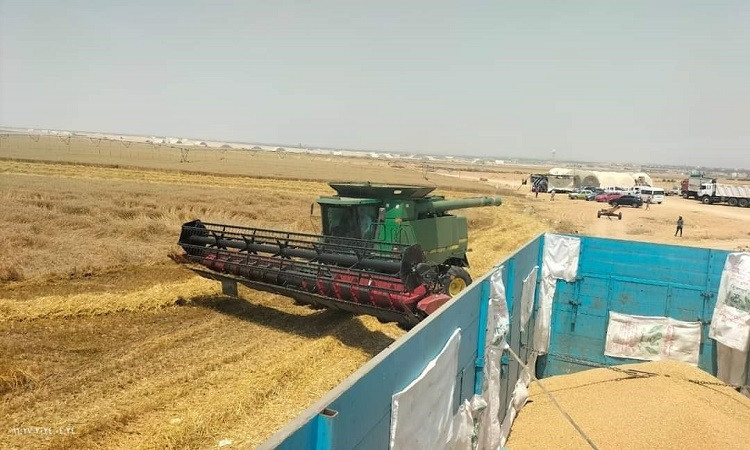 محافظ الإسماعيلية