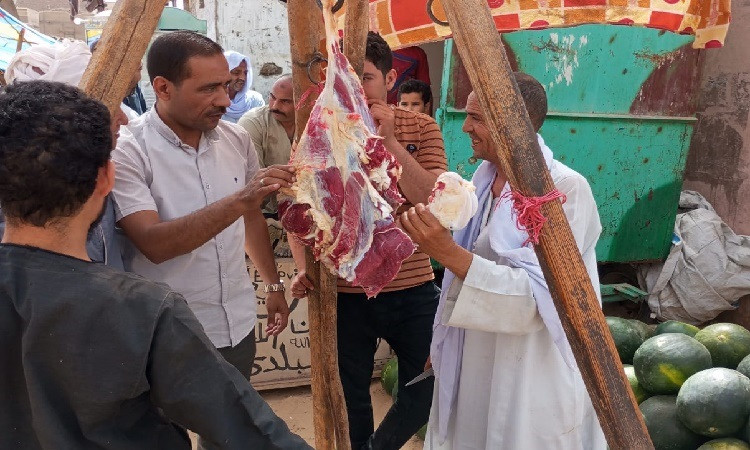 تموين المنيا