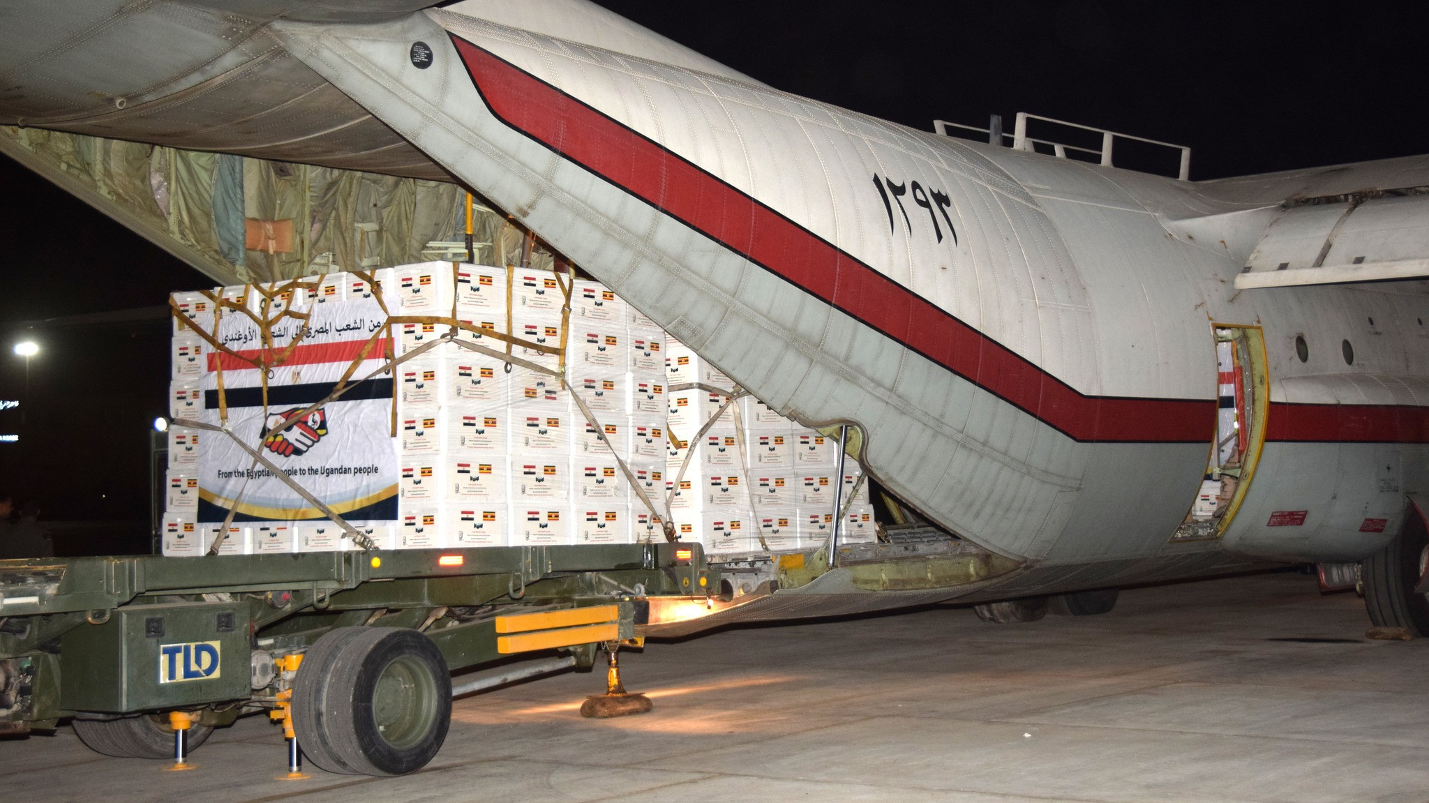 القوات المسلحة